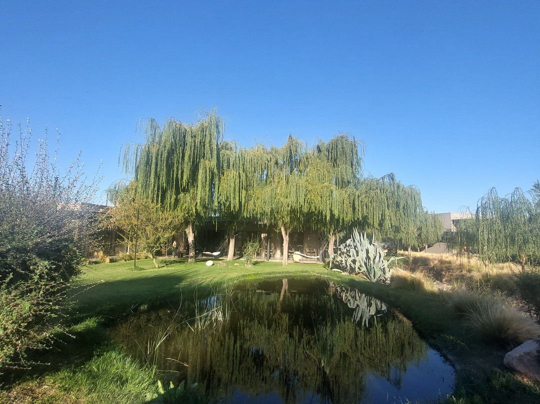 Gimenez Riili Bodega & Viñedos-Tunuyan必去景点