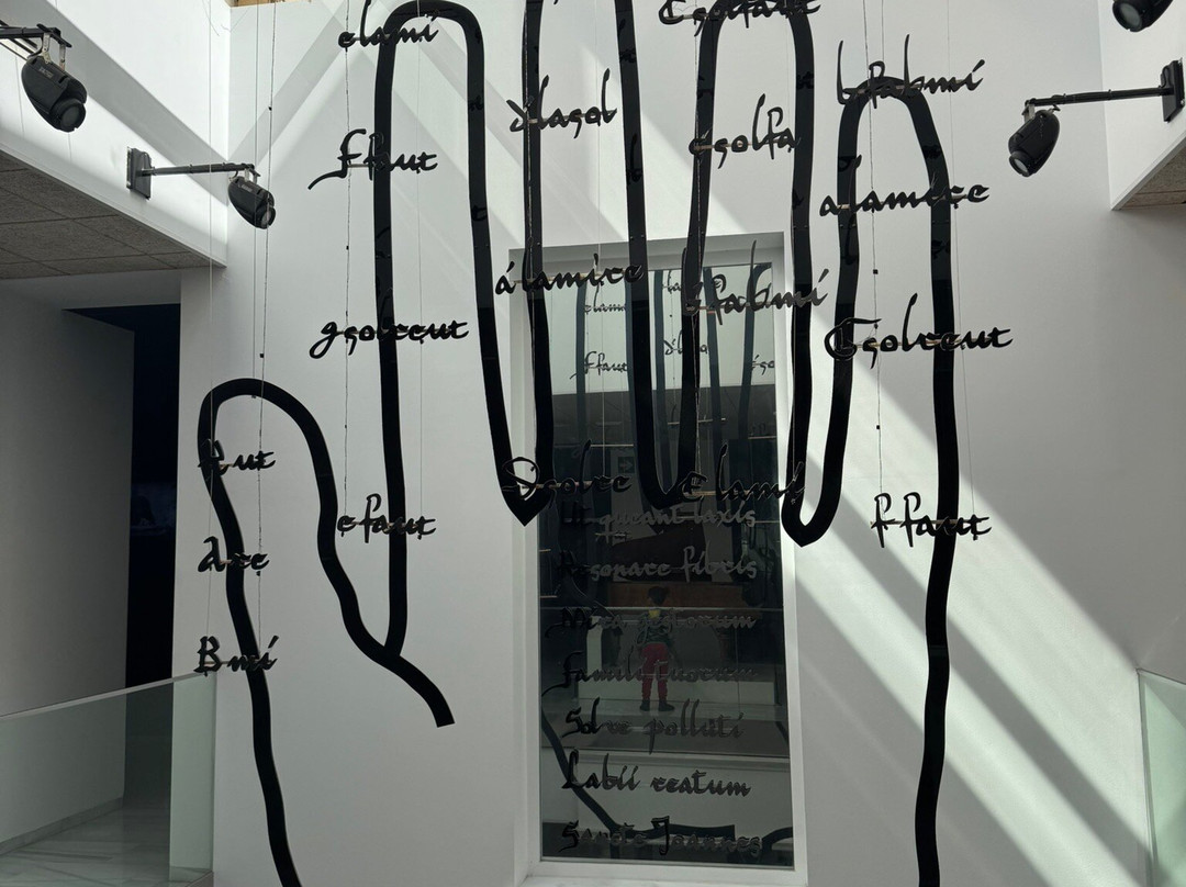 Museo Interactivo de la Musica Malaga景点图片