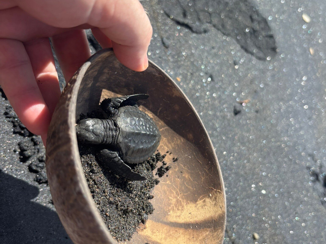 Bali Snap Trip-吉安雅必去景点