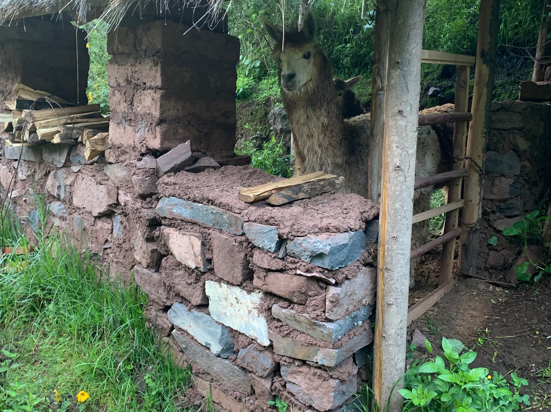 Etnikas Ayahuasca Retreats景点图片