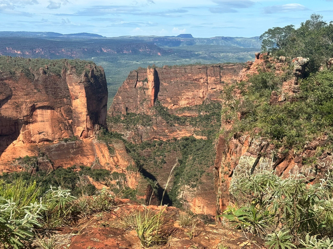 Parque Nacional da Chapada dos Guimarães景点图片