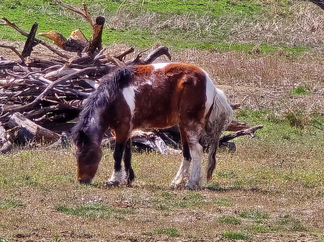 Circle S Guest Ranch and Country Inn主图
