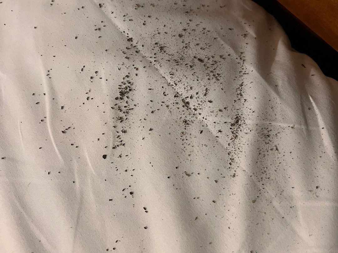 爱丽儿希尔瓦酒店主图