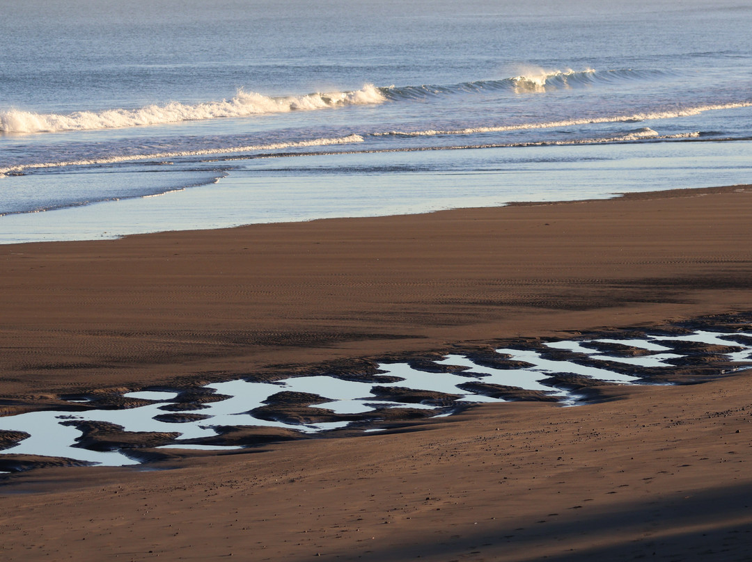 New Plymouth Coastal Walkway-新普利默斯必去景点