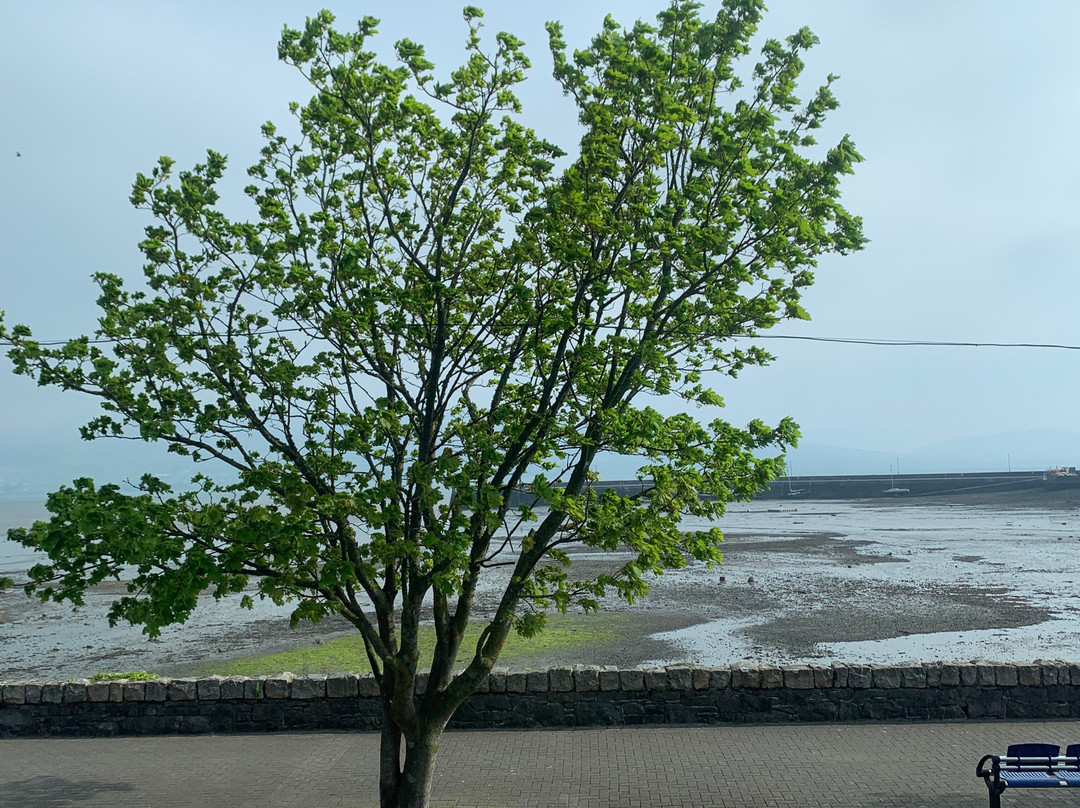 Carlingford Adventure Centre景点图片