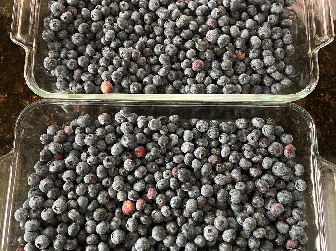 Blueberry Bunch Farm-LaBelle必去景点