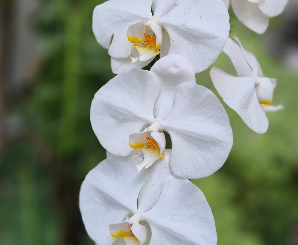 迈阿密海滩贝尔福酒店（摩根酒店原型）