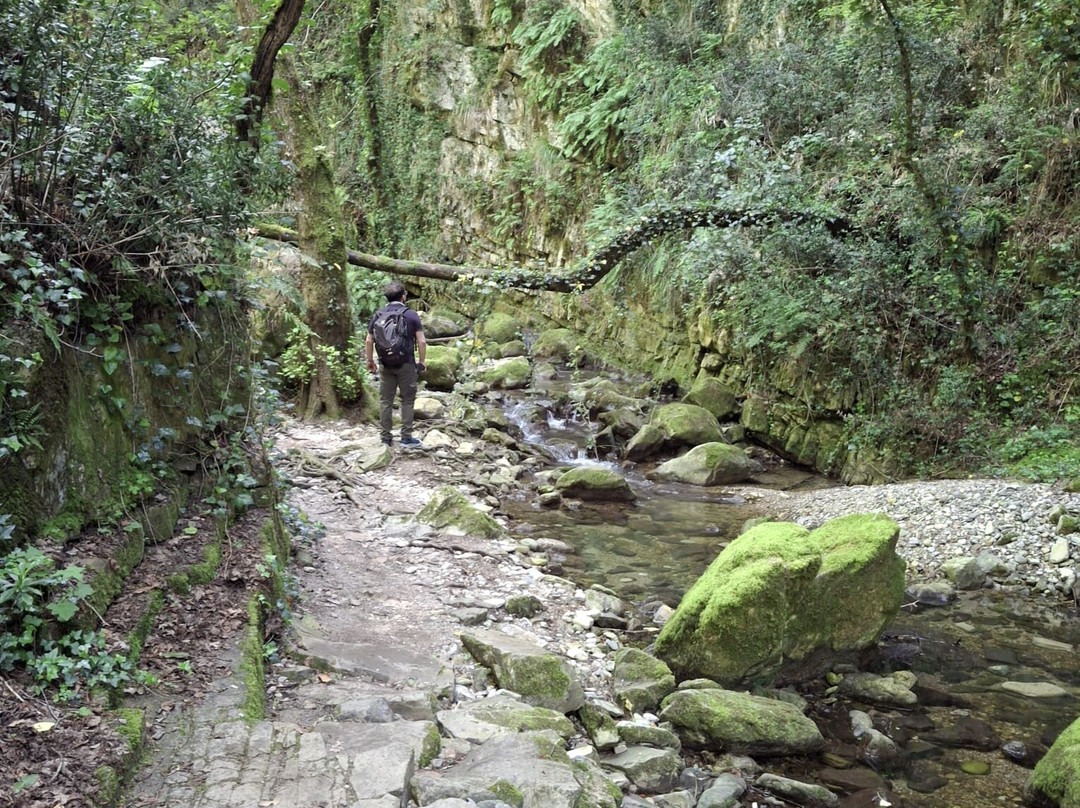 Cascate di Vallone del Tuorno景点图片