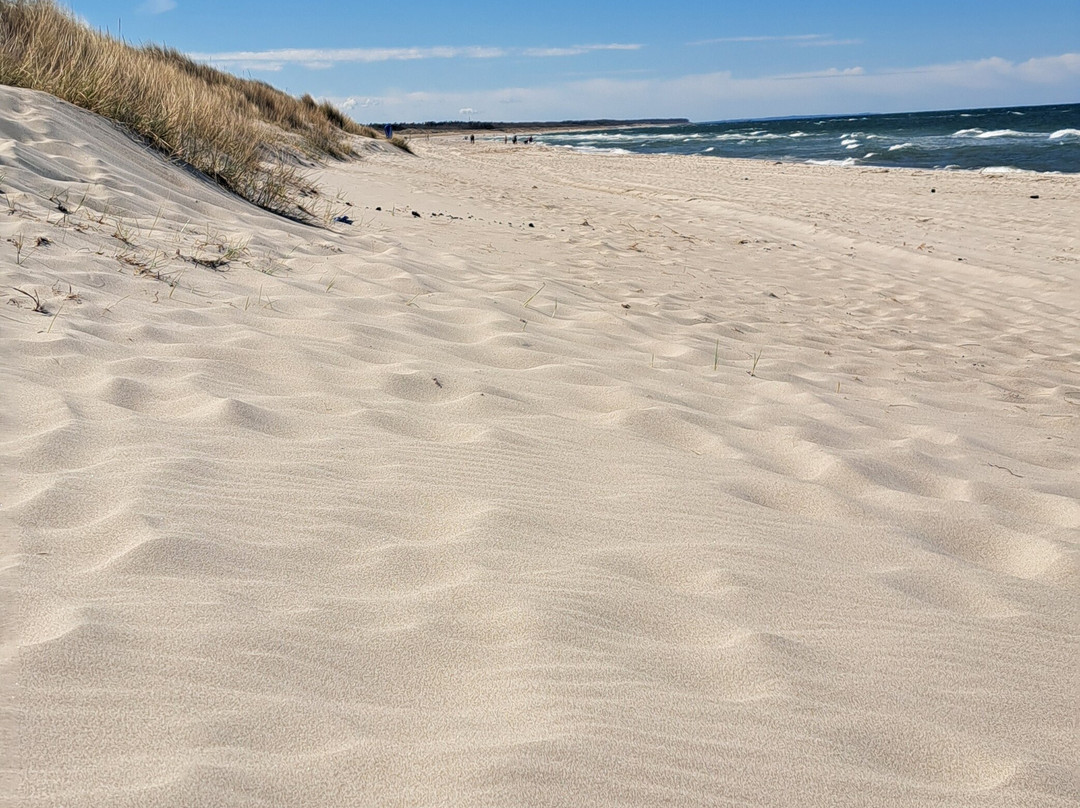Ostseebad Dierhagen景点图片