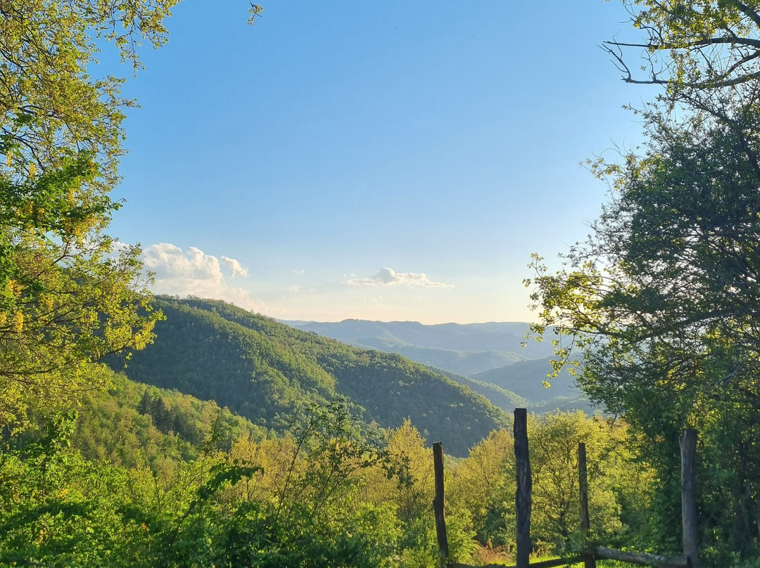 Farmhouse La Chiusa主图