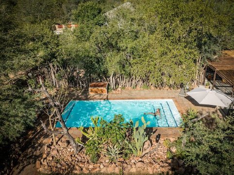 Bosveld Villa-泳池