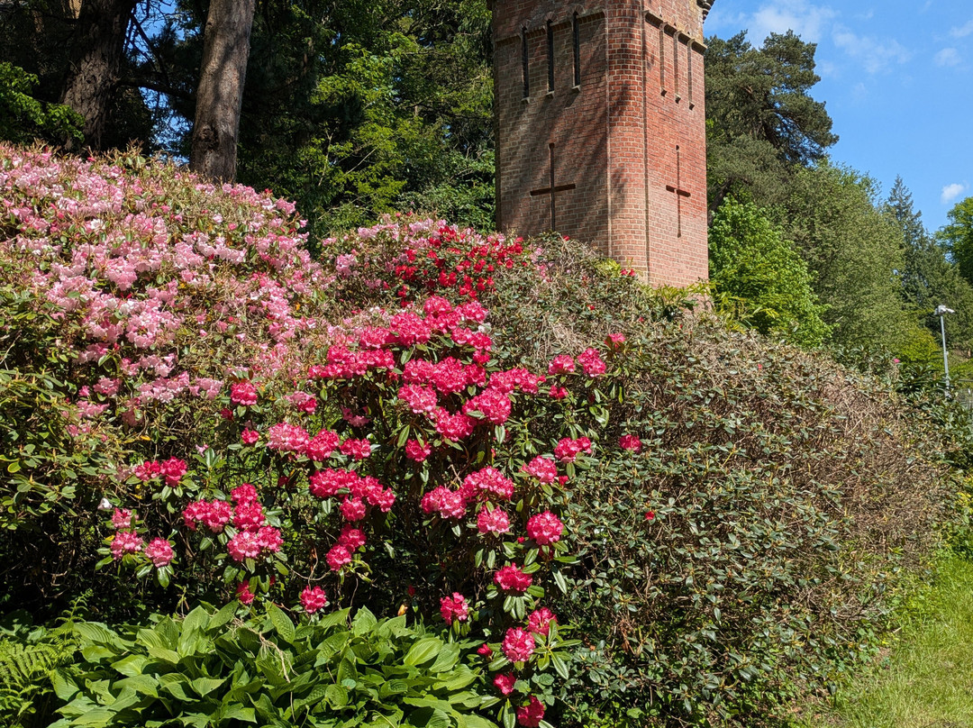 Coy Pond Gardens-普尔必去景点
