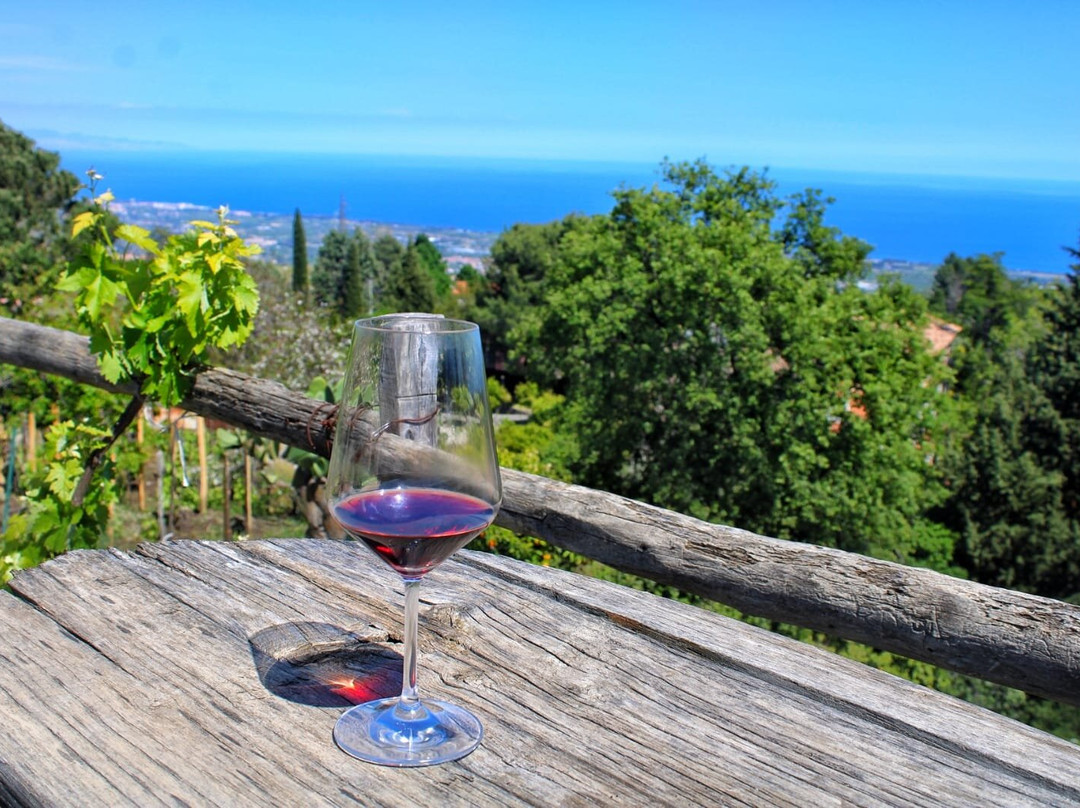 Prestelli Sicily Tours景点图片