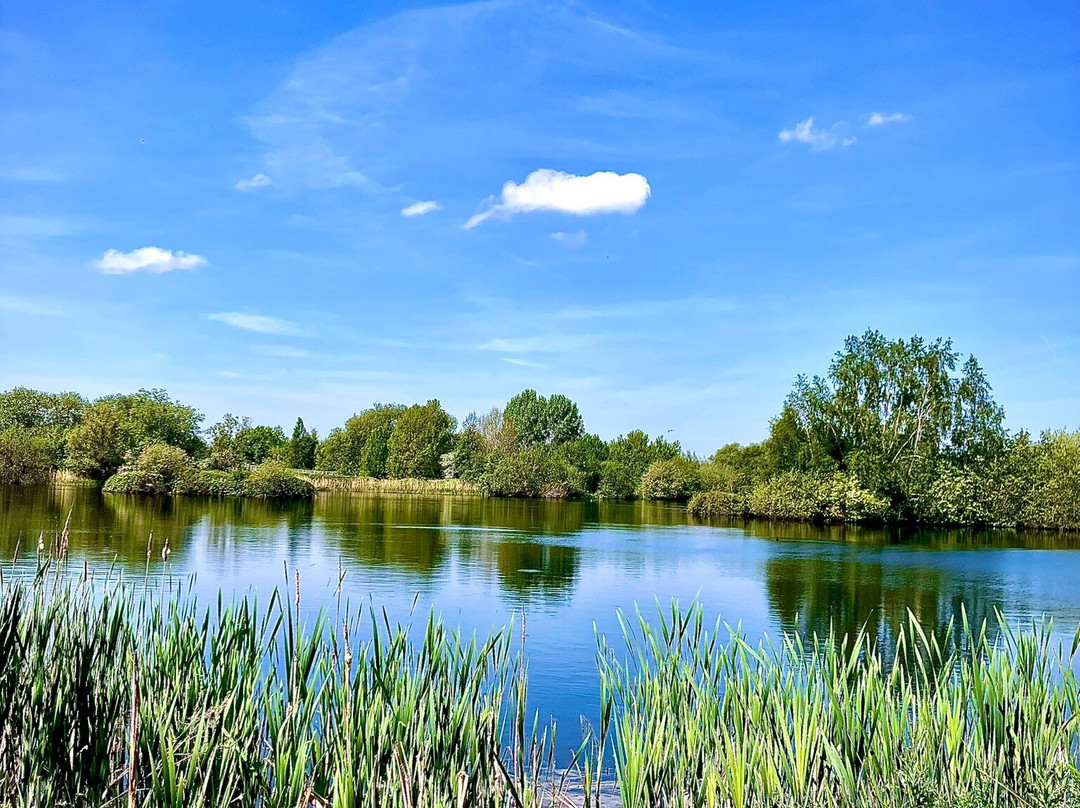 RSPB Middleton Lakes-塔姆沃思必去景点