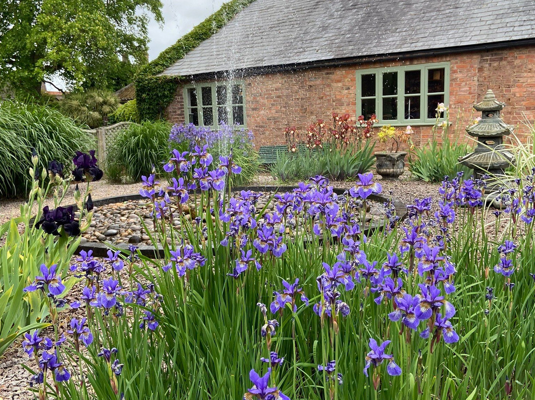 Elgood's Brewery and Gardens-Wisbech必去景点