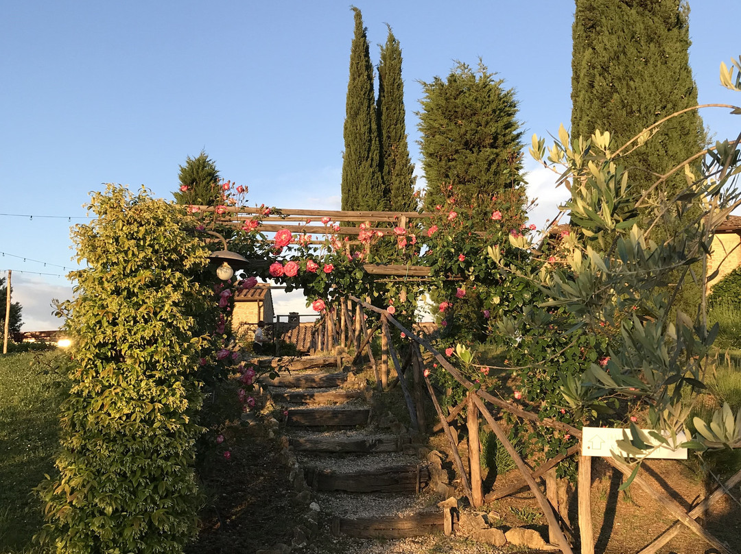 Tenuta Sant'Ilario主图