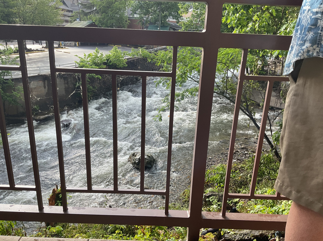 Greystone Lodge On the River主图