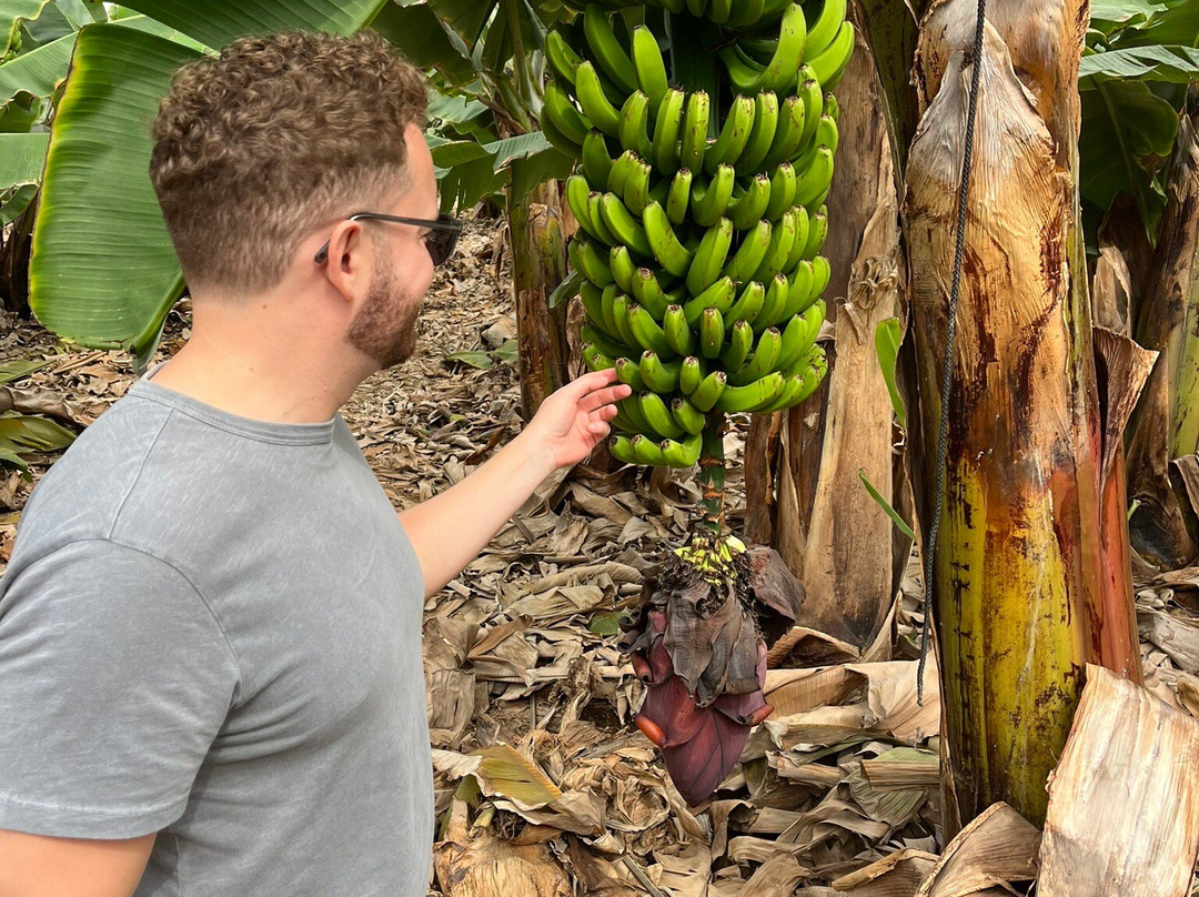 Finca Las Margaritas Banana Experience-拉斯加勒塔斯必去景点