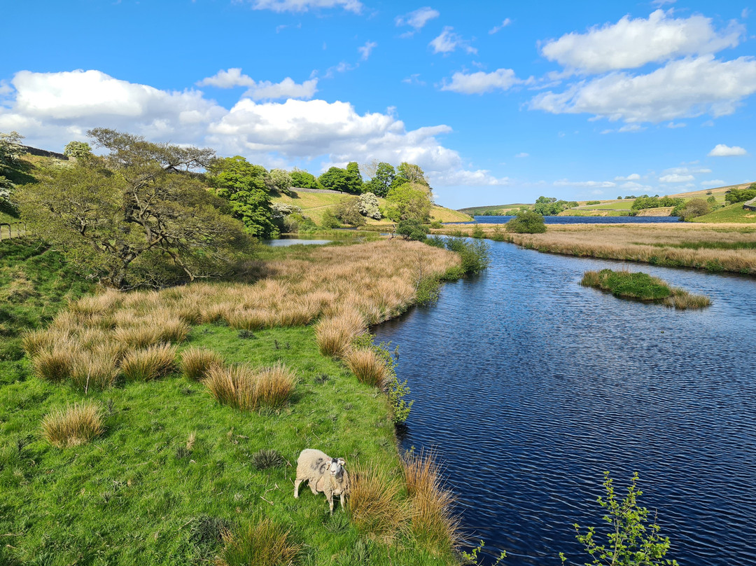 Hannah's Meadow-Barnard Castle必去景点