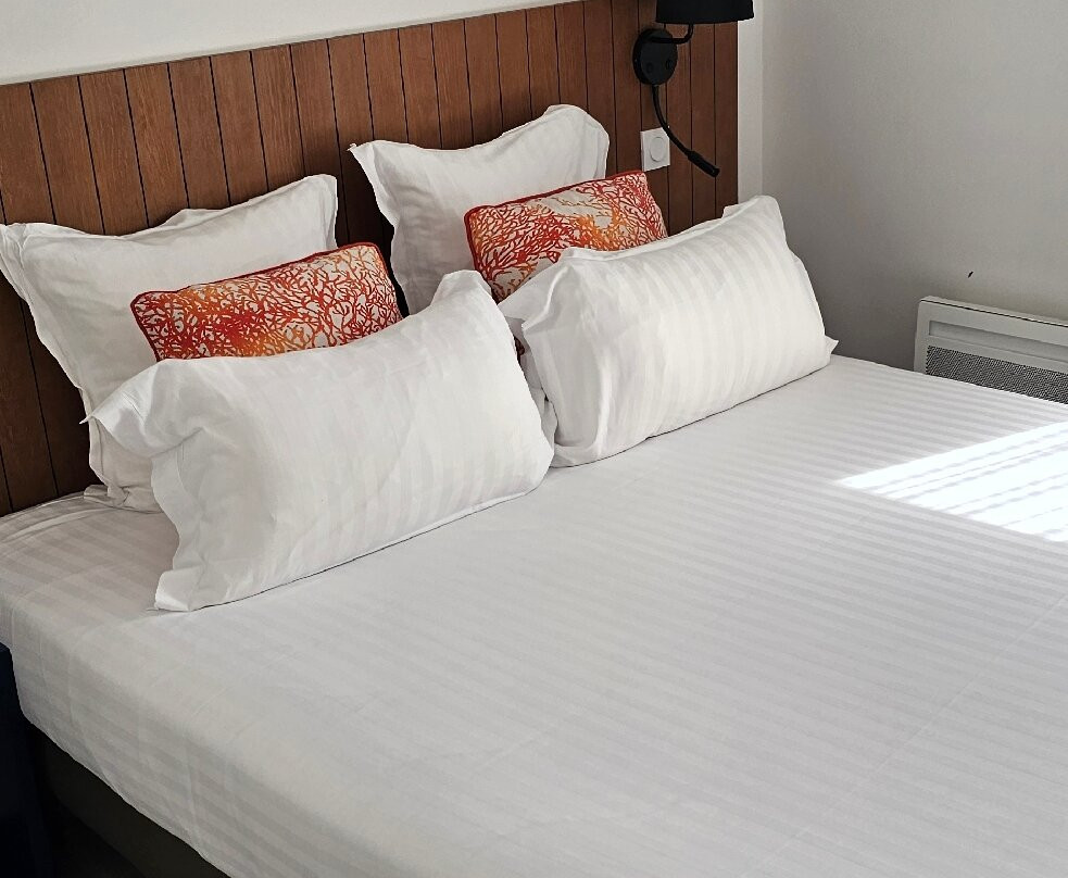 Résidence Pierre & Vacances premium Les Villas d'Olonne主图