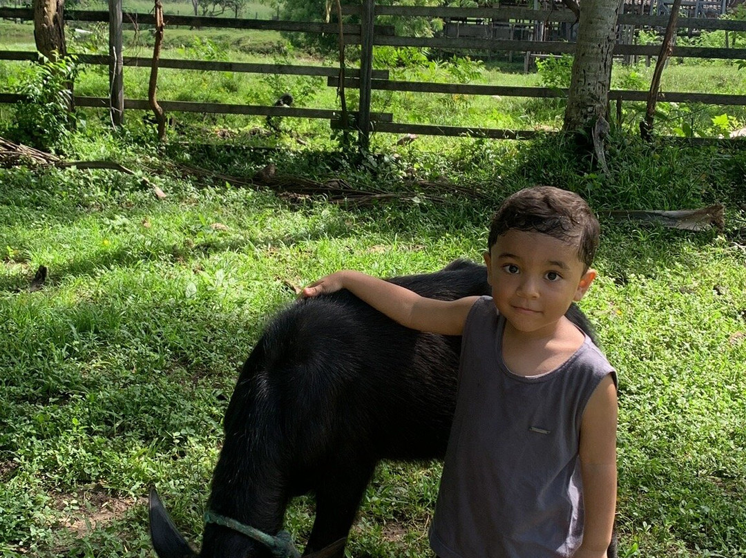 Fazenda Mironga-Soure必去景点