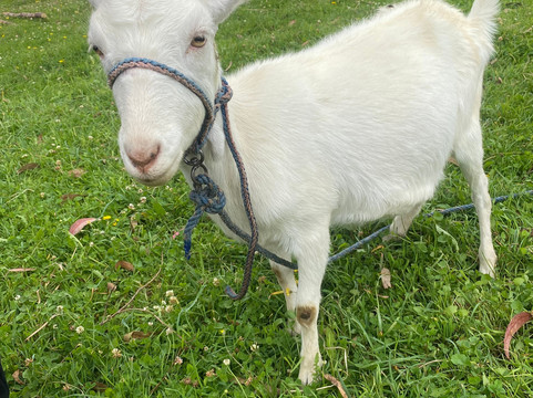 Instinto Ecuador Tours-基多必去景点