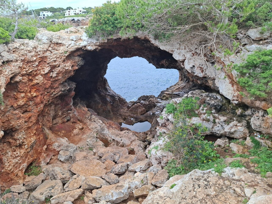 Sa Cova Foradada景点图片