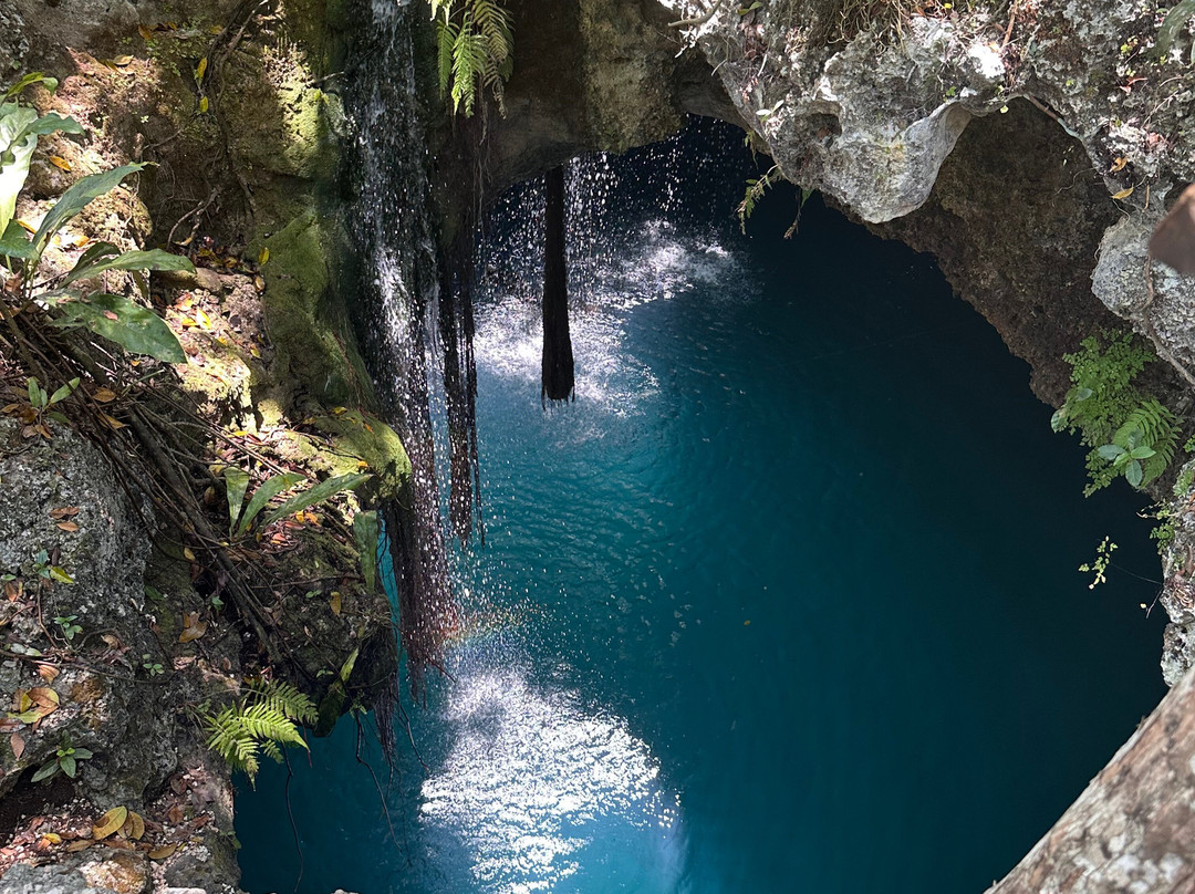 Cenote Elvira - Nature Sanctuary-从莫雷洛斯港必去景点