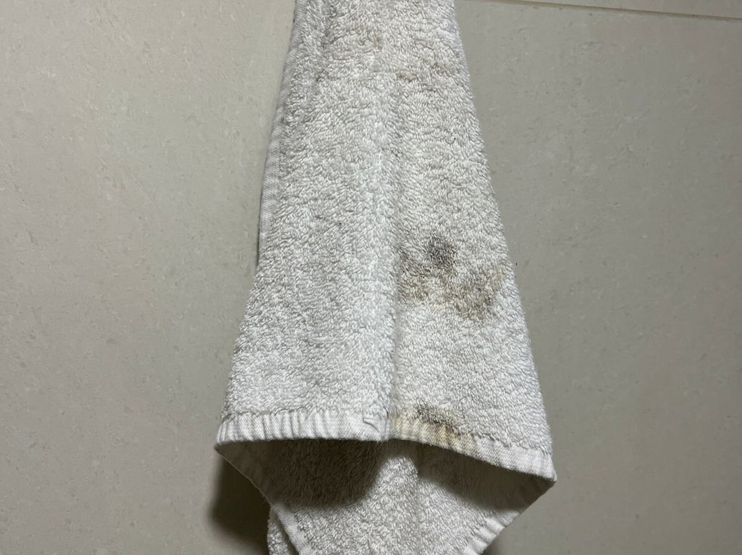 Mision Monterrey Centro Historico主图