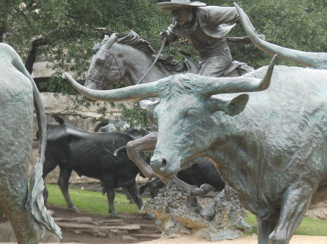 Dallas Cattle Drive Sculptures-达拉斯必去景点