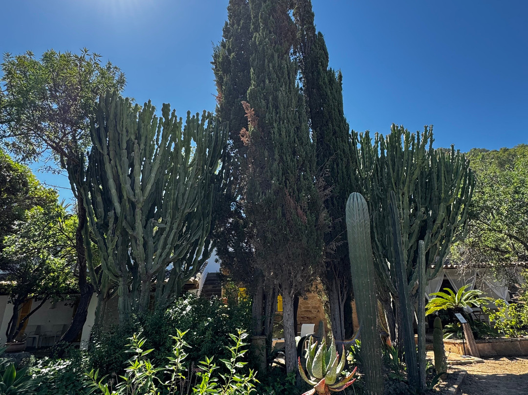 Hostal Residencia Catalina Vera主图