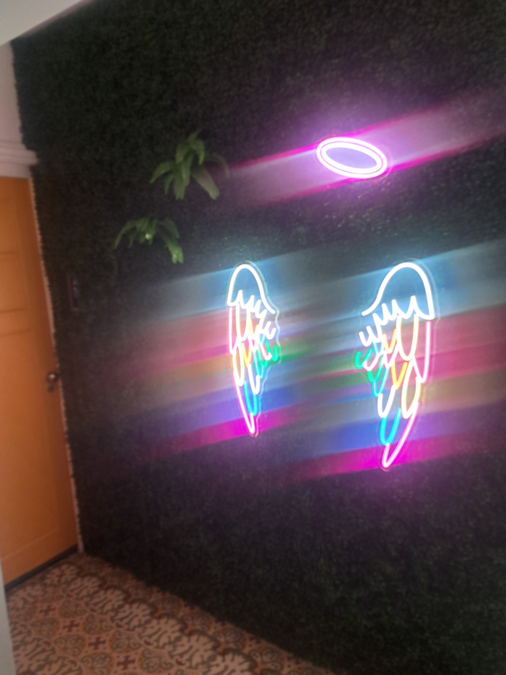 库拉索温伍德精品酒店-客卧