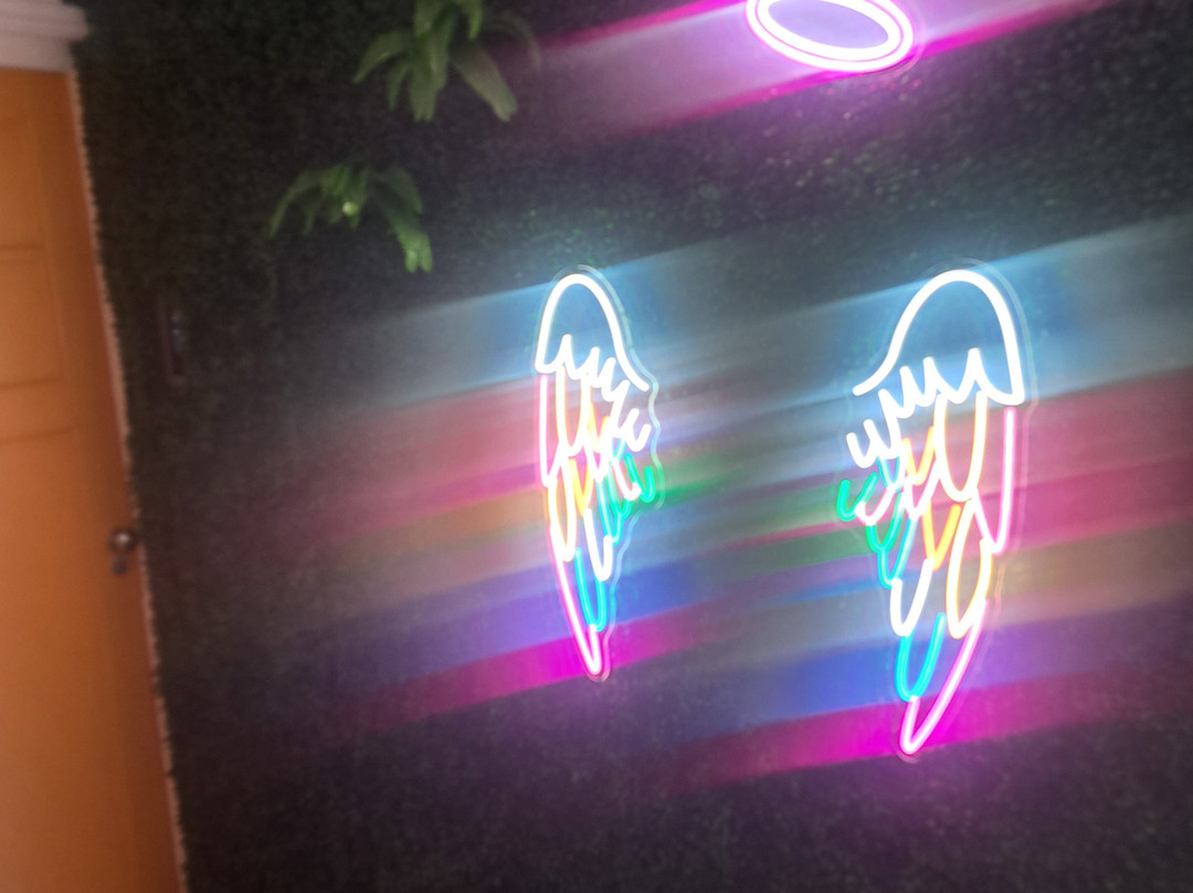 库拉索温伍德精品酒店主图