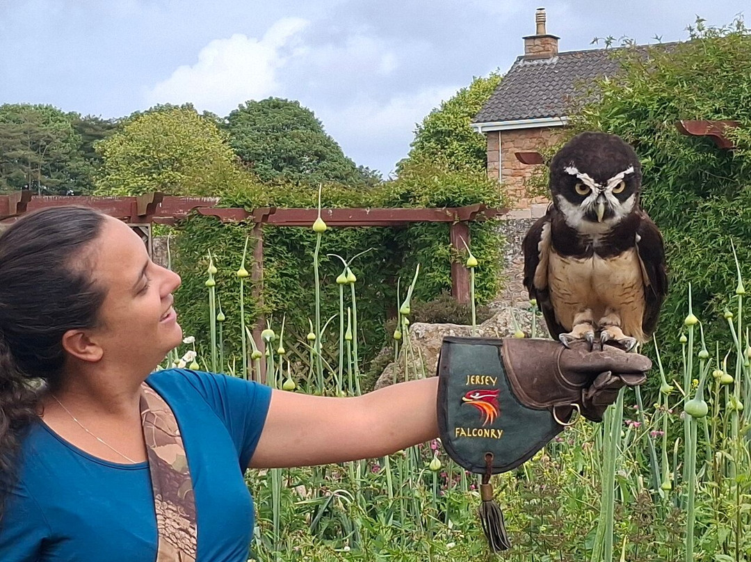 Jersey Falconry-St. John必去景点