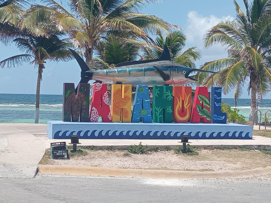 Mis Agentes De Viajes-墨西哥城必去景点