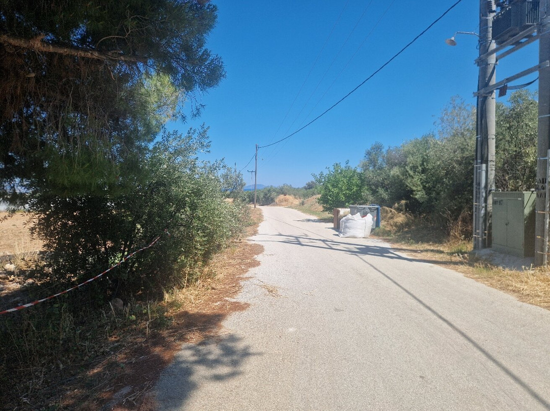 Archaeological Museum of Marathon-Marathon必去景点