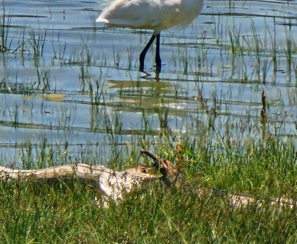 Lago di Canterno-菲乌吉必去景点