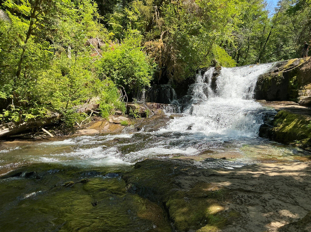 Alsea Falls Recreation Site-Alsea必去景点