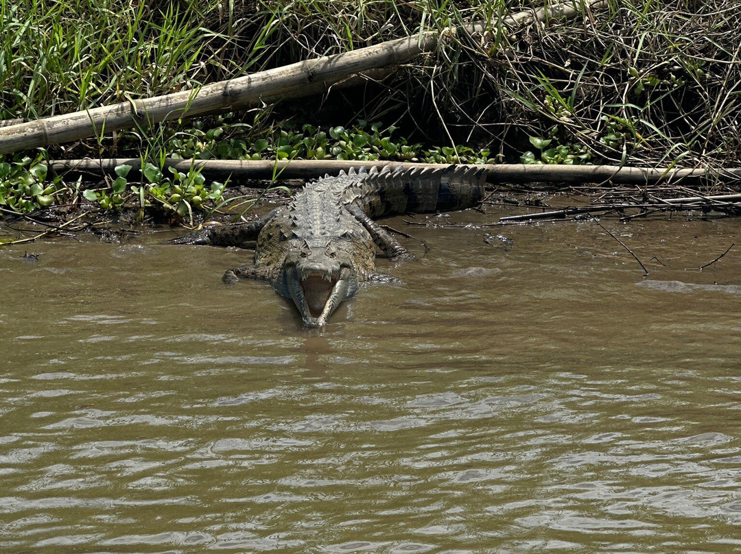 Kokopelli Wildlife Tours景点图片