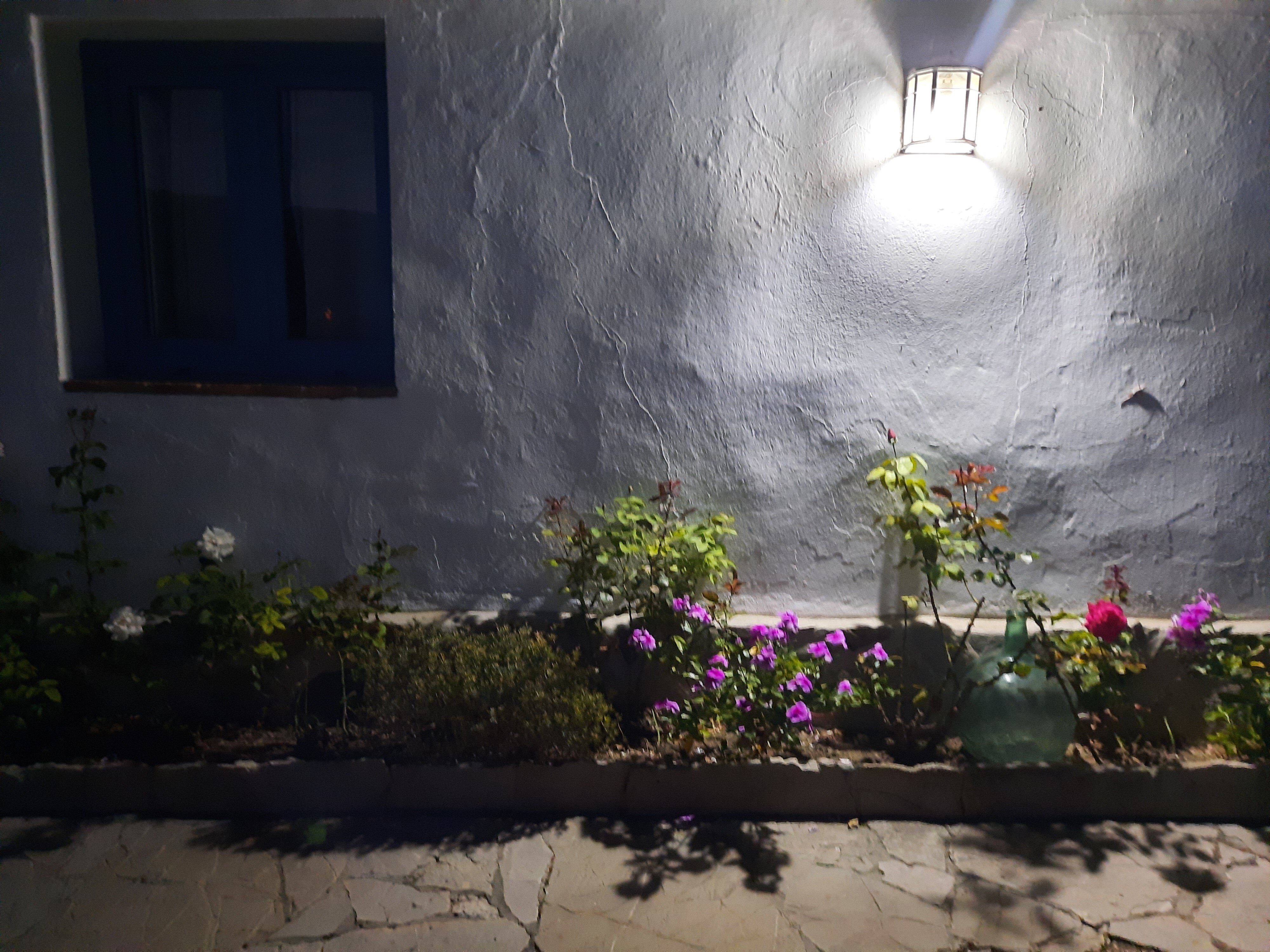 Hostal La Hormiga Voladora-官方