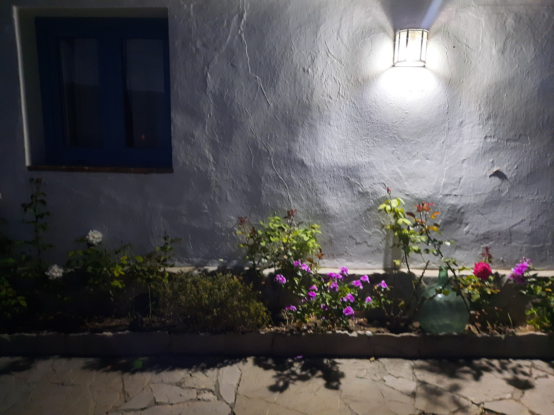 Hostal La Hormiga Voladora主图