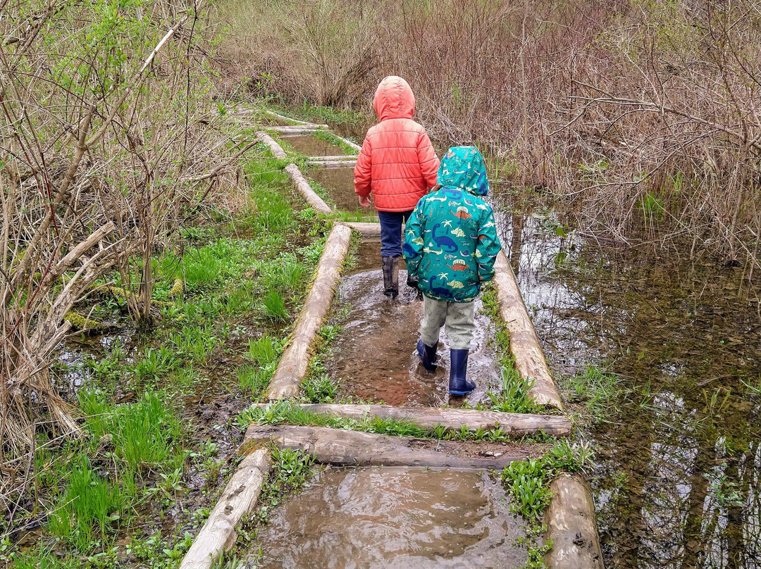 Friends of Rogers-Sherburne必去景点