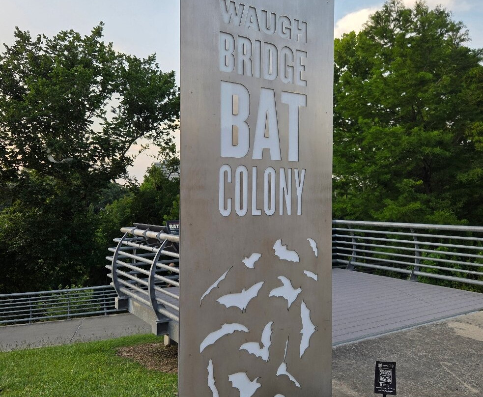 Waugh Drive Bat Colony-休斯顿必去景点