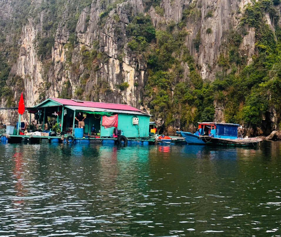 Blue Swimmer Sailing-卡巴必去景点