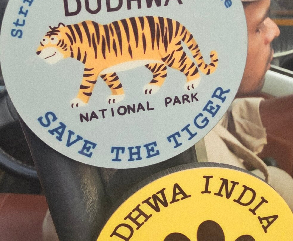 Camp TigerLily主图