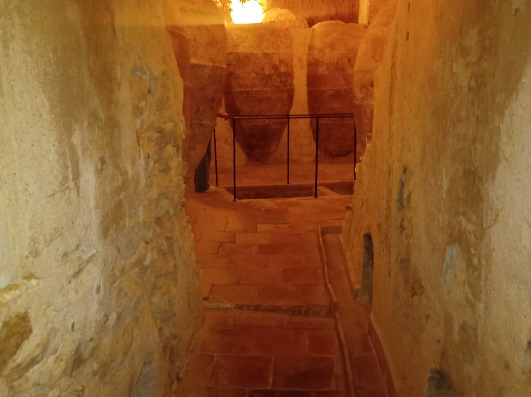 Bodegas Subterraneas Puerta Nueva景点图片