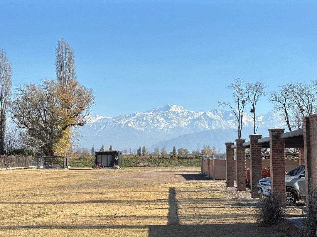 Mendoza Viagem-门多萨必去景点