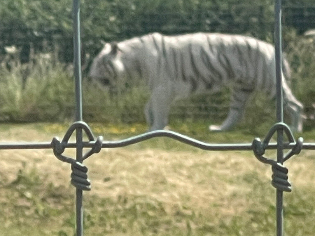 Hamerton Zoo Park-Sawtry必去景点