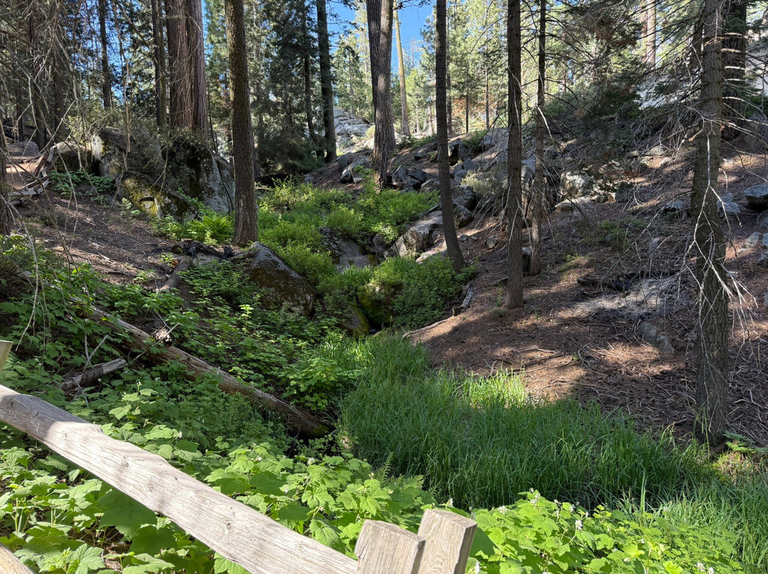 Grant Grove-红杉&国王峡谷国家公园必去景点