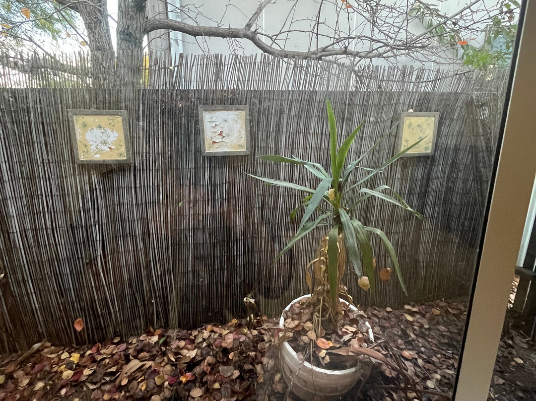 Cessnock Motel主图